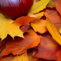 Autumn orange, leaves fall abstract background, leaf random element outdoor photo