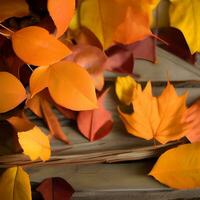 Autumn orange, leaves fall abstract background, leaf random element outdoor photo