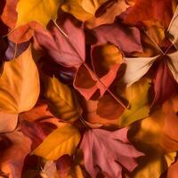 Autumn orange, leaves fall abstract background, leaf random element outdoor photo