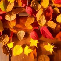 Autumn orange, leaves fall abstract background, leaf random element outdoor photo