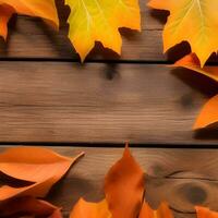 Autumn orange, leaves fall random background, leaf abstract element outdoor photo