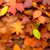 Autumn orange, leaves fall abstract background, leaf random element outdoor photo