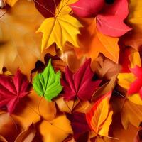 Autumn orange, leaves fall abstract background, leaf random element outdoor photo