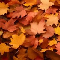 Autumn orange, leaves fall random background, leaf abstract element outdoor photo