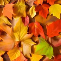 Autumn orange, leaves fall random background, leaf abstract element outdoor photo