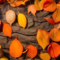 Autumn orange, leaves fall random background, leaf abstract element outdoor photo
