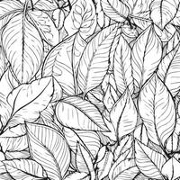 coloring page of leaves of different pattern vector