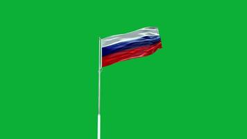 Rysslands nationella flagga video