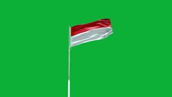 Indonesia nazionale bandiera video