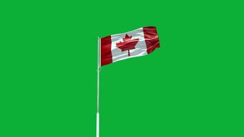 Kanadas nationella flagga video