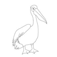 Pelican outline icon. Sea Bird Vector line illustration for coloring book