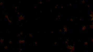 abbraccio il fascino di autunno con lento movimento animazione, un' visivo festa di le foglie delicatamente caduta per il terra. video