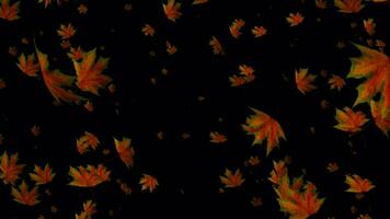 vastleggen de essence van herfst schoonheid met langzaam beweging animatie, met de bevallig afdaling van kleurrijk bladeren. video