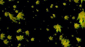 Immerse yourself in the magic of autumn with slow motion animation, a sensory journey through falling leaves. video