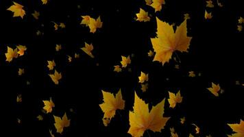 Slow motion animation lets you savor every moment of autumn's splendor as leaves cascade down like nature's confetti. video