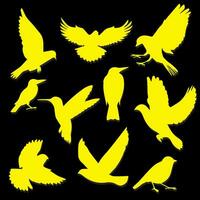 Bird silhouette design vector. Collection of bird silhouette design vector