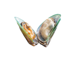 Steamed or cooked food of fresh beautiful green mussels isolated with clipping path in png file format