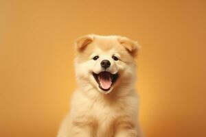 cute dog on beige background, AI Generated photo