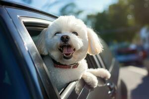 Cute dog looking out of car window , AI Generated photo