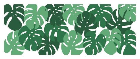 Abstract foliage botanical background vector. Green color wallpaper of tropical plants, monstera, leaf branches, leaves. Foliage design for banner, prints, decor, wall art, decoration. vector