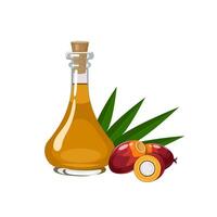 Vector illustration, palm oil in a glass bottle, with palm kernels and leaves, isolated on a white background.