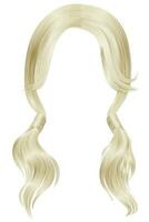 trendy women hairs blond light colour .two Pigtails .  fashion beauty style . vector