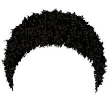 trendy curly african short black  hair  . realistic  3d . fashion beauty style.afro vector