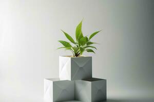 Concrete pot. Green succulent plant in modern geometric concrete planter isolated on white . AI Generated photo