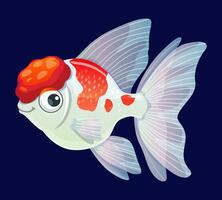 Cartoon aquarium fish, white crown pearscale vector