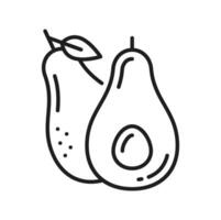 Alligator pear, exotic avocado fruit snack icon vector