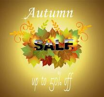 Bright autumn sale banner with a bouquet of autumn leaves vector