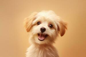 cute dog on beige background, AI Generated photo