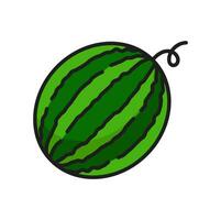 Striped watermelon healthy organic food dessert vector