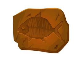 Ancient fossil, fish skeleton imprint in stone vector