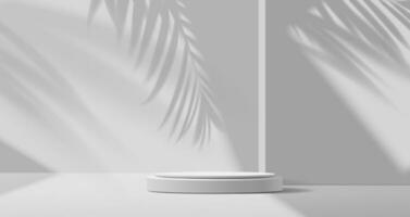 Grey podium with palm leaves shadow background vector