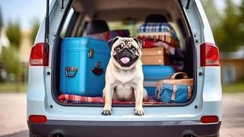 Cute dog sitting on luggage bags in car back , photo
