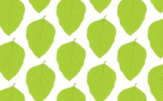 pattern with green leaves, a pattern of green leaves on a white background vector