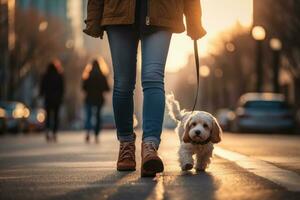 dog walking with unrecognizable owner in city street crosswalk, AI Generated photo