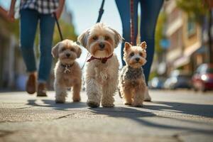 perros caminando con irreconocible propietario en ciudad calle paso de peatones, ai generado foto