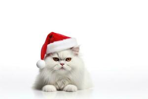 Kitten wearing santa hat on white background with copy space. AI Generated photo
