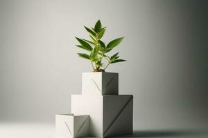 Concrete pot. Green succulent plant in modern geometric concrete planter isolated on white . AI Generated photo