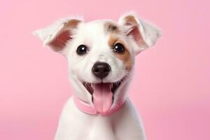 cute dog on pink background, AI Generated photo