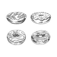 A hand-drawn sketch of a set of donuts. Top view. Vintage illustration. Pastry sweets, dessert. Element for the design of labels, packaging and postcards. vector