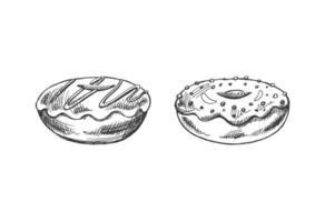 A hand-drawn sketch of a set of donuts. Top view. Vintage illustration. Pastry sweets, dessert. Element for the design of labels, packaging and postcards. vector