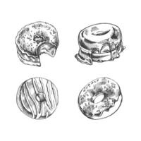 A hand-drawn sketch of a set of donuts. Top view. Vintage illustration. Pastry sweets, dessert. Element for the design of labels, packaging and postcards. vector