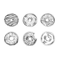 A hand-drawn sketch of a set of donuts. Top view. Vintage illustration. Pastry sweets, dessert. Element for the design of labels, packaging and postcards. vector