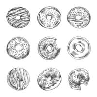 A hand-drawn sketch of a set of donuts. Top view. Vintage illustration. Pastry sweets, dessert. Element for the design of labels, packaging and postcards. vector