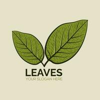 Hand Drawn Vector Vintage Leaf Logo. Leaf Sketch Logo Concept.