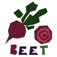 Beet, beetroot, whole and in section, is highlighted on a white background. The original signature is burak. Products from the farmer's market, organic food Geometric stylized flat vector