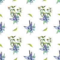 Sage herbal plant, bidens tripartita watercolor seamless pattern isolated on white background. Salvia, nettle, camomile, daisy useful flowers hand drawn. Design for textile, package, wrapping, fabric. vector